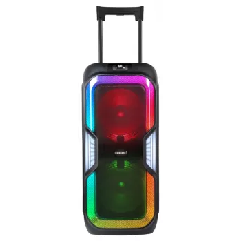Power Audio Party Box luidspreker BT karaoke 2 microfoons afstandsbediening PRIME3 APS91