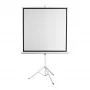 Projectiescherm SBOX PSMT-96-2, 172 x 172 cm beeldvlak