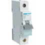 Hager MBN150. Aantal polen: 1P. AC-ingangsfrequentie: 50/60 Hz, nominale uitgangsstroom: 50 A (MBN150)