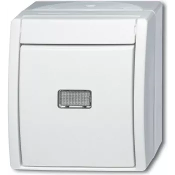 BUSCH JAEGER 1484-0-0381 - taster - wit - IP44 - CE - 74 mm - 55 mm