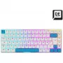 Sharkoon SKILLER SGK50 S3 PBT-toetsenbord gaming USB QWERTZ Duits wit