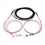 Synergy 21 LWL-kabel trunkkabel U-DQ ZN BH 4G 50/125 LC/LC OM4 40m ring - kabel - multimodefiber