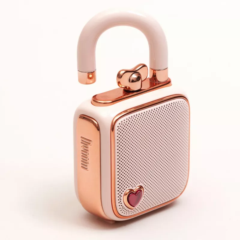 Draagbare mono-luidspreker Divoom LoveLock roze