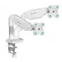 ONKRON G160-W Draai- en kantelbare bureausteun voor twee monitoren van 13-32 inch, tot 8 kg, wit