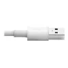 Eaton Tripp Lite Series USB-A naar Lightning sync-/laadkabel (M/M) - MFi-gecertificeerd, wit, 6 ft. (1,8 m) - data-/netkabel - USB mannelijk naar Lightning