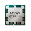 Processor AMD Ryzen 5 PRO 8600G 4,3 GHz 6 cores 16 MB L3 socket AM5