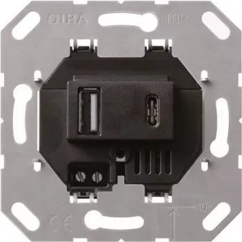 Gira USB-spanningsvoorziening 2-voudig Type A/C inzetstuk 236900 (236900)