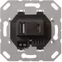 Gira USB-spanningsvoorziening 2-voudig Type A/C inzetstuk 236900 (236900)