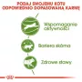 Royal Canin Outdoor droogvoer voor katten 2 kg