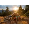 Ruffwear Front Range XS blauw polyester