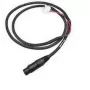 Intermec - stroomkabel - voor Honeywell CN80, Dolphin CT50, Intermec 751, CK61, CN2A, CN2B, CN2G, CN3, CN3A, CN3e, CN3F (226-109-003)