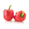 PNOS zaadmengsel zoete paprika, 0,6 g