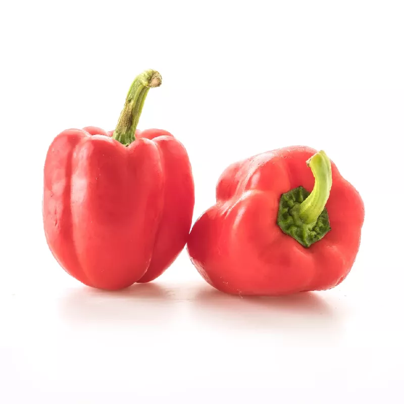 PNOS zaadmengsel zoete paprika, 0,6 g