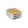 Fantec SNT-BA2131-2 - S-ATA 2x 13,30cm (5,25) voor 3x1 HDD beige (2007)