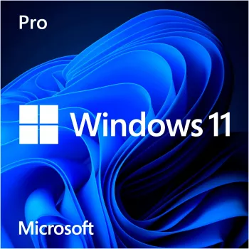 Windows 11 Pro, besturingssysteemsoftware 64-bit, Duits, USB-stick