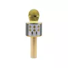 Microfoon MANTA MIC10-G goud nier draagbaar — condensator nier, handontwerp