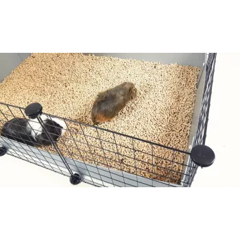 C&C modulair verblijf 5x2 zilver 180x75x37 cm voor cavia's konijnen egels, c&c