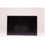 Laptop-LCD-displaypaneel Lenovo 16,0 inch WUXGA IPS AG van AUO, vervangingsscherm voor compatibele Lenovo-modellen
