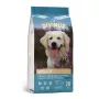 Droogvoer voor honden DIVINUS Adult 20 kg — gevogelte, 23 % eiwit, 8 % vet, 3 % ruwe vezel, geschikt voor volwassen honden van alle rassen