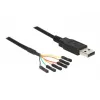USB-kabel DeLOCK 1,8 m USB2.0-A/TTL 6-polig zwart