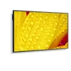 NEC MultiSync M651-2 kioskdesign 165,1 cm (65 inch) LED 500 cd/m² 4K Ultra HD zwart ingebouwde processor