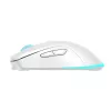 Muis Baracuda BGM-122 Turtle wit TURTLE-W