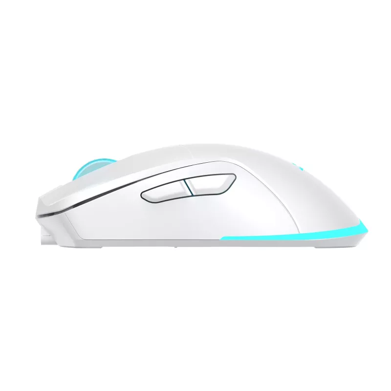 Muis Baracuda BGM-122 Turtle wit TURTLE-W