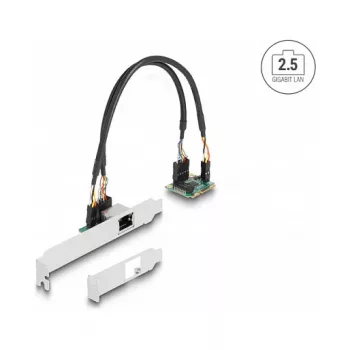 DeLOCK 95271 Interne netwerkkaart 2500 Mbit/s Mini PCI Express