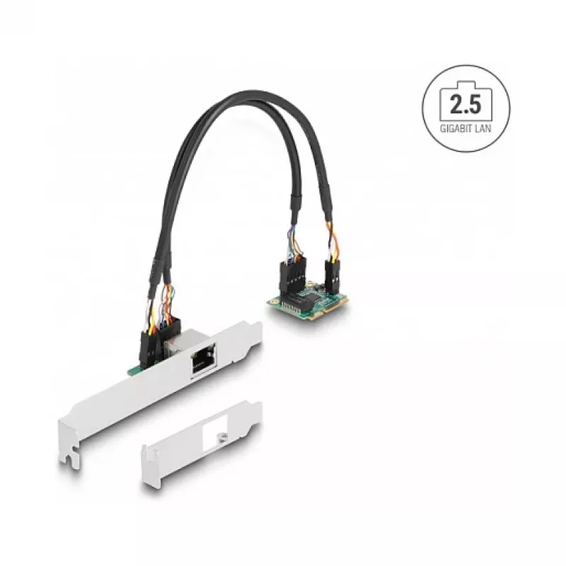 DeLOCK 95271 Interne netwerkkaart 2500 Mbit/s Mini PCI Express