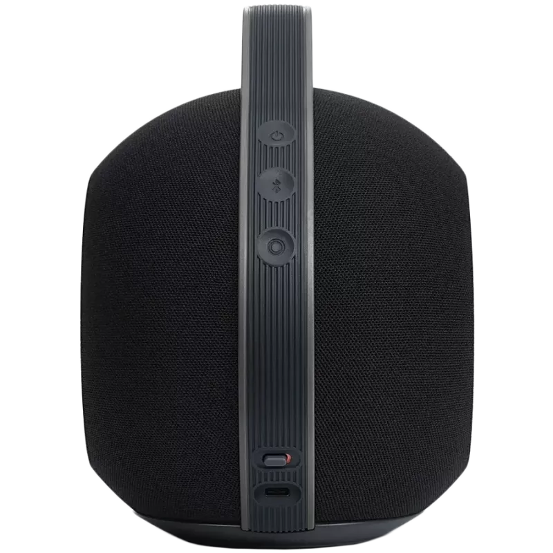 Stereo draagbare luidspreker Devialet Mania 95 dB
