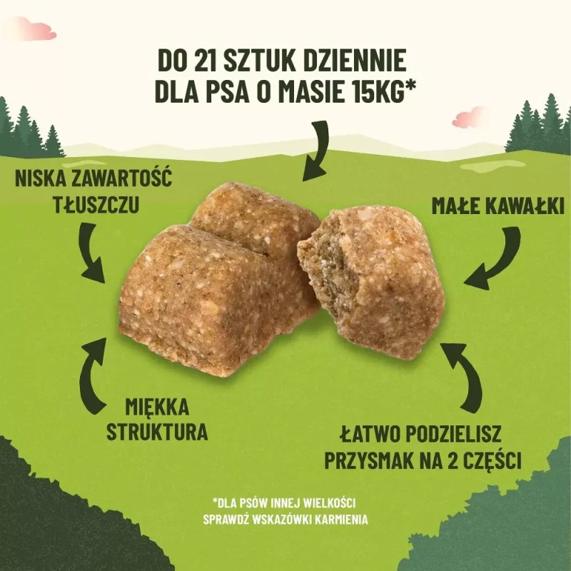 PURINA Adventuros Training zalm - hondensnacks - 40 g
