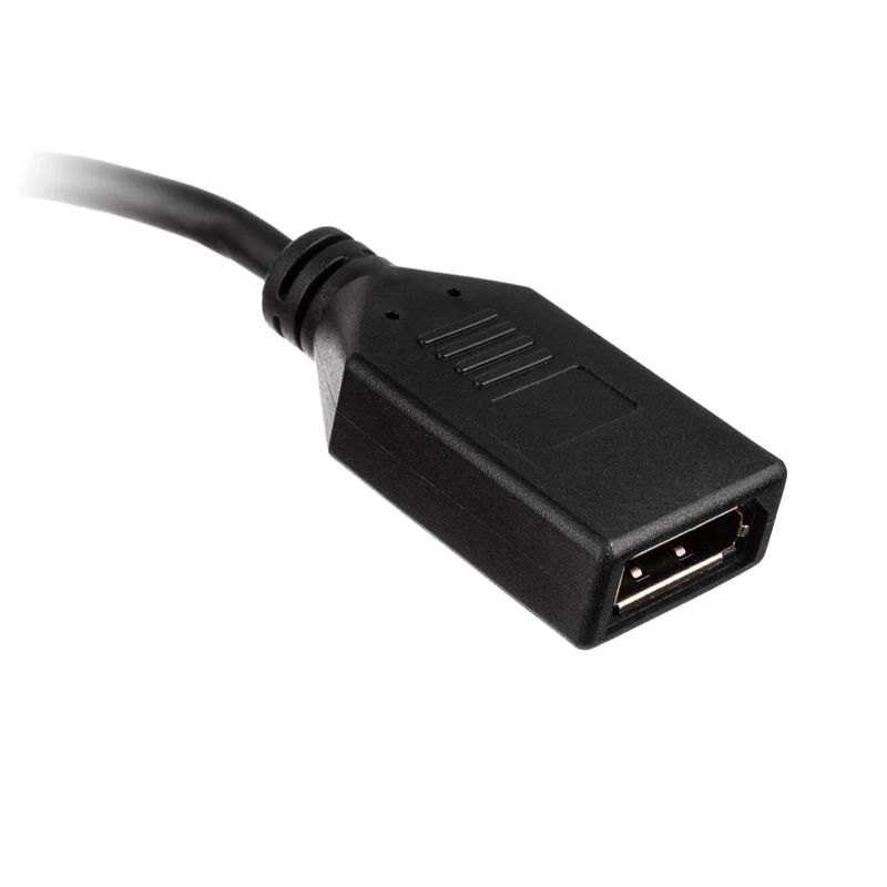 HDMI-naar-DisplayPort-adapterkabel Akasa AK-CBHD24-25BK