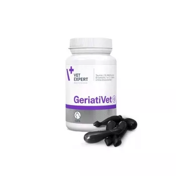Voedingssupplement VETEXPERT GeriatiVet kat capsules 60 stuks — ondersteuning voor oudere katten, bevordering van de hersenfunctie, gluten- en sojavrij