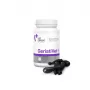 Voedingssupplement VETEXPERT GeriatiVet kat capsules 60 stuks — ondersteuning voor oudere katten, bevordering van de hersenfunctie, gluten- en sojavrij