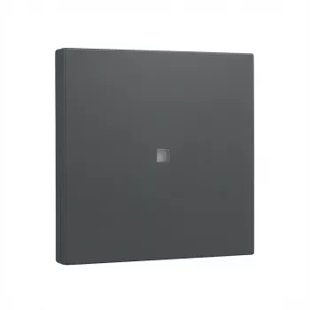 Wipafdekking Gira System 55 stuureenheid afdekplaat antraciet (model 329028)