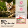 INABA Churu assortimentsbox tonijn – kattensnacks – 60 x 14 g