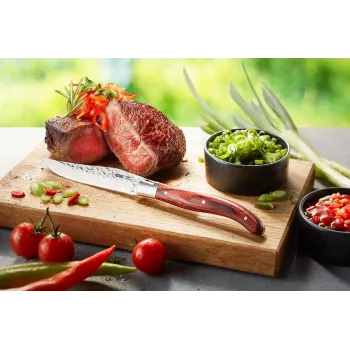 Set met 6 RANCHO steakmessen