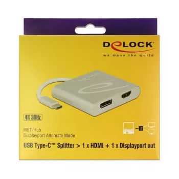 USB-grafische adapter DeLOCK 87716 2560 x 1440 pixels zilver