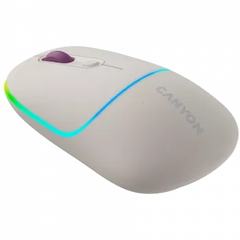 CANYON muis MW-22 2-in-1 BT/draadloos rijst