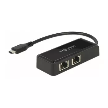 DeLOCK 63927 USB-C naar 2x Gigabit LAN-adapter, zwart