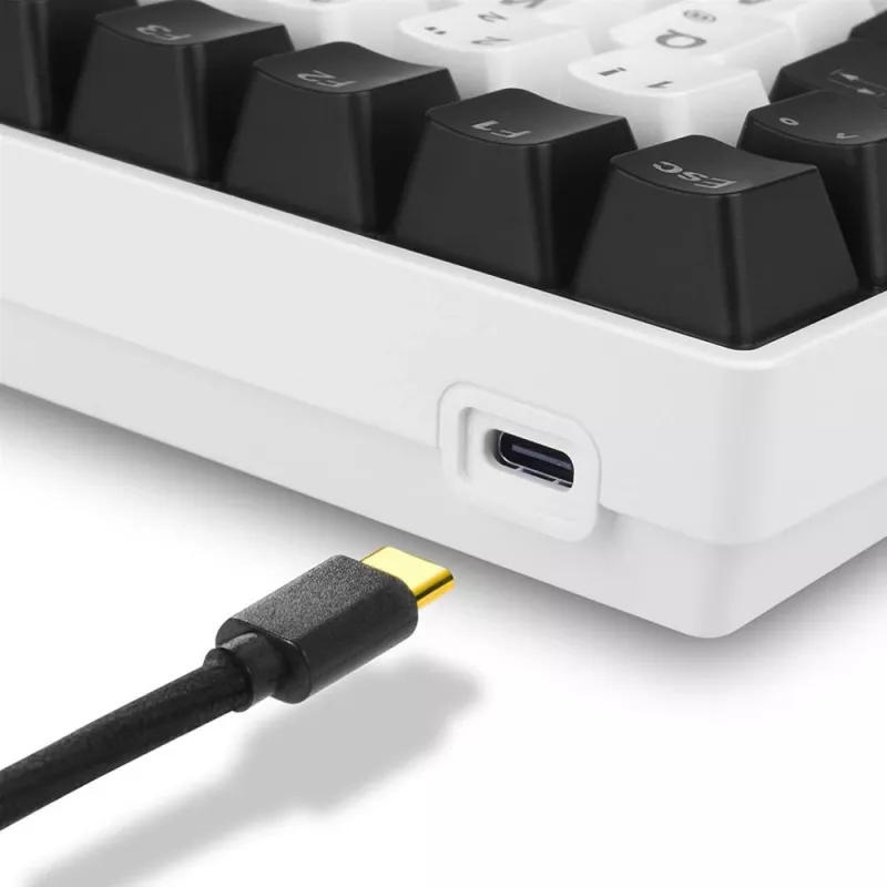 Sharkoon SKILLER SGK50 S3 toetsenbord gaming USB AZERTY Frans wit