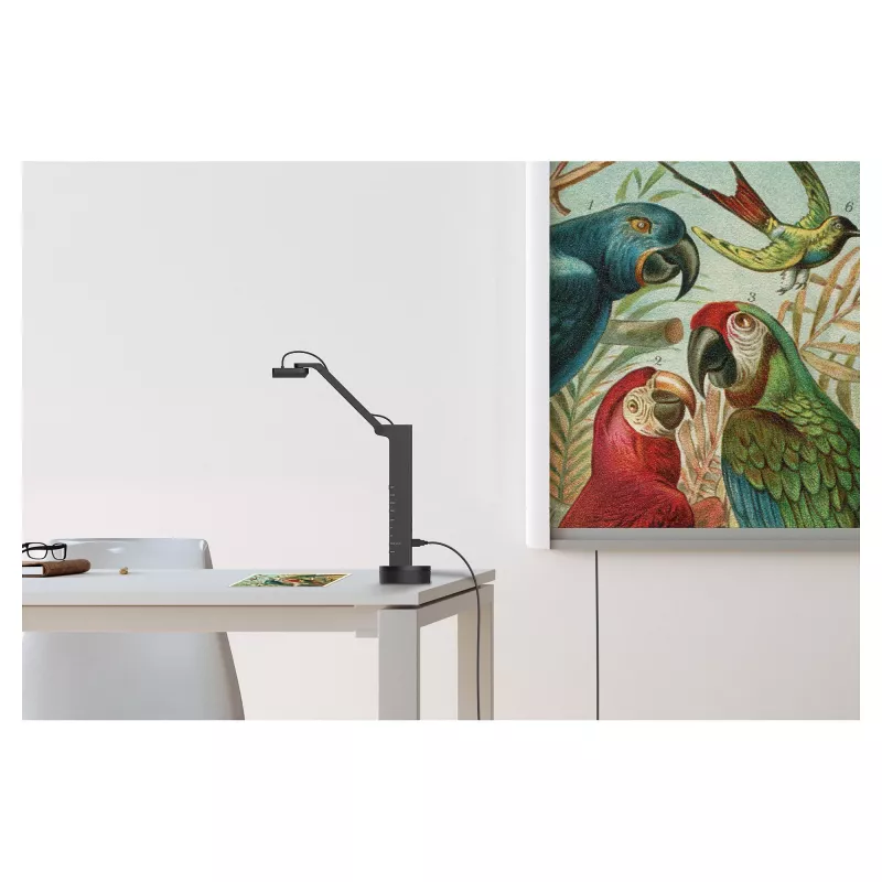 Documentcamera IPEVO VZ-X ULTRA zwart, CMOS 25.4/3,06 mm, 4K 3840×2160, USB/HDMI/Wi‑Fi