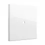Schakelwip Gira wip controlek. System 55 zuiverwit (model 329003) voor System 55 kaders