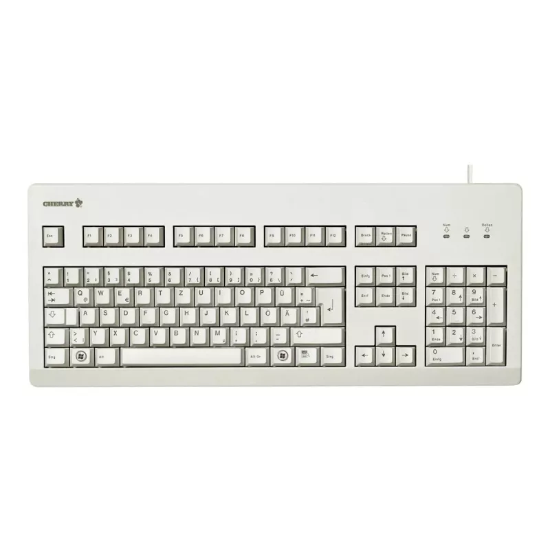 CHERRY G80-3000 toetsenbord universeel USB QWERTZ Duits grijs
