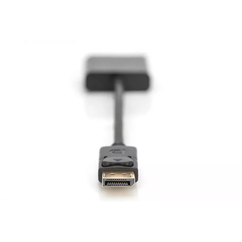 Digitus DisplayPort-adapter / converter