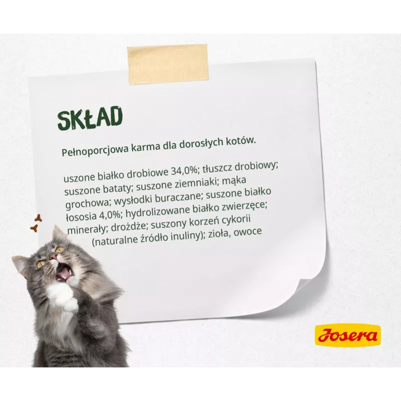 Droogvoer voor katten Josera NatureCat 10kg vis