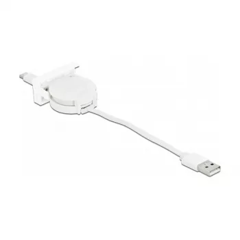Oprolbaar kabel DeLOCK Easy 45 USB 2.0 Type-A naar Type-C 0,62 m