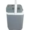 Coolbox Campingaz Powerbox Plus 28 L elektrisch grijs