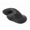 Gembird MUSW-ERGO-03 muis thuis rechtshandig RF draadloos optisch 1600 DPI