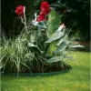 Gardena 536-20 tuinrandrol kunststof groen (536)